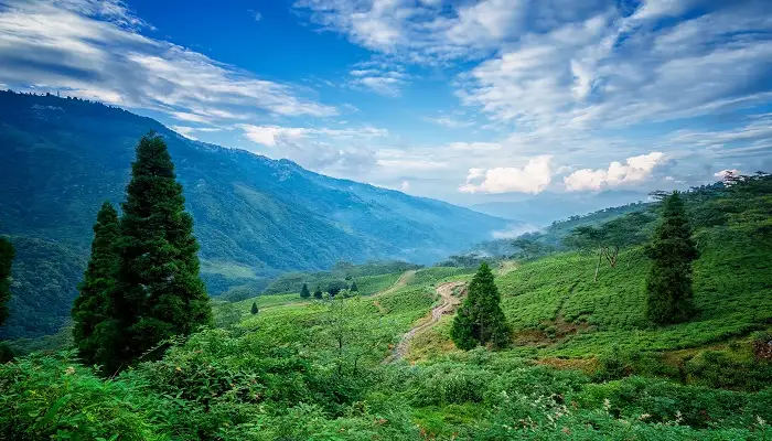 Offbeat North Bengal