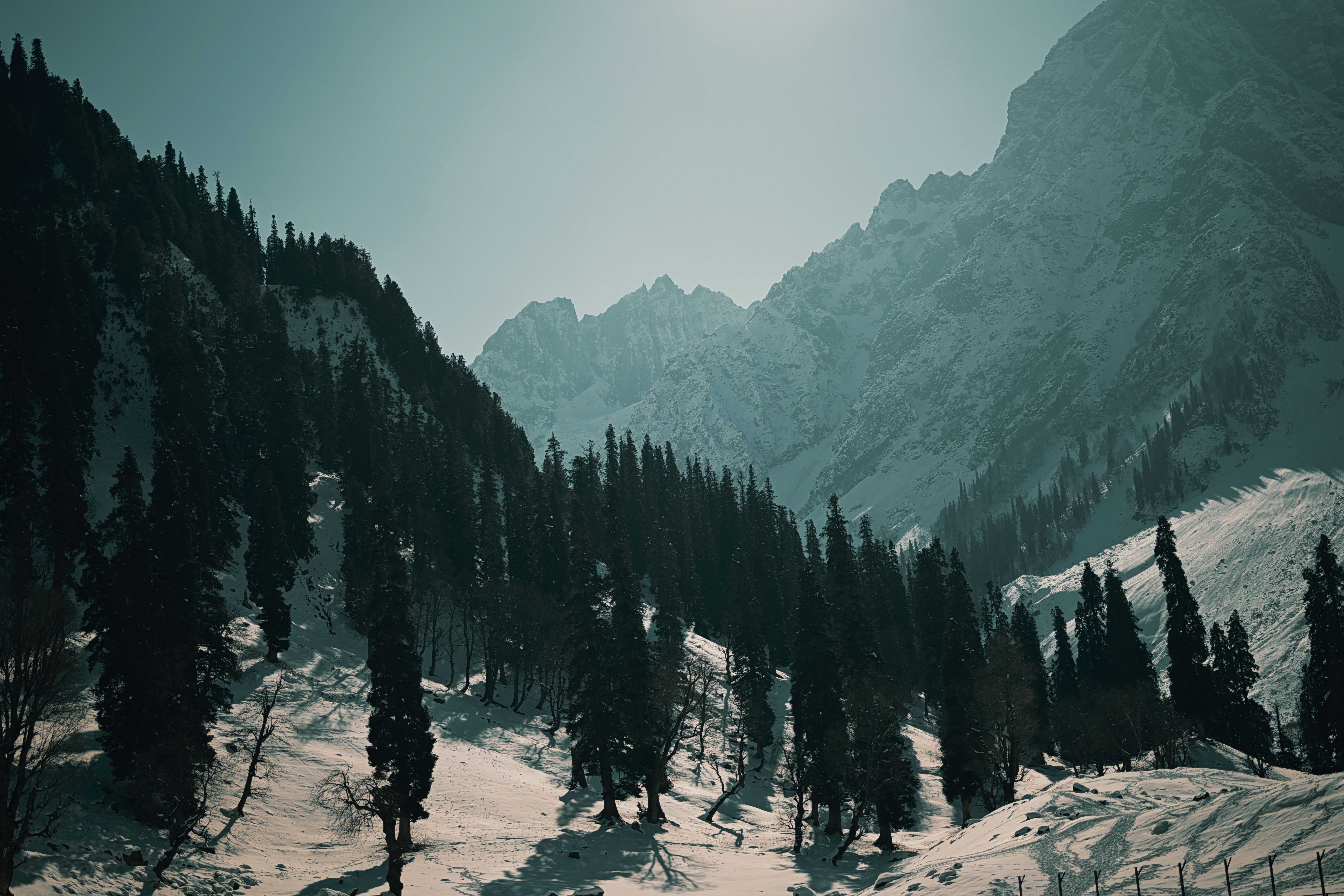 Kashmir Tour Package - 7 Days
