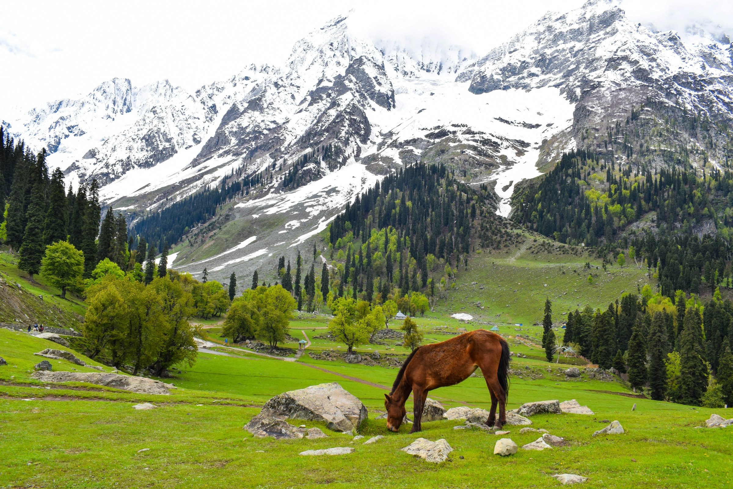 Gulmarg Views
