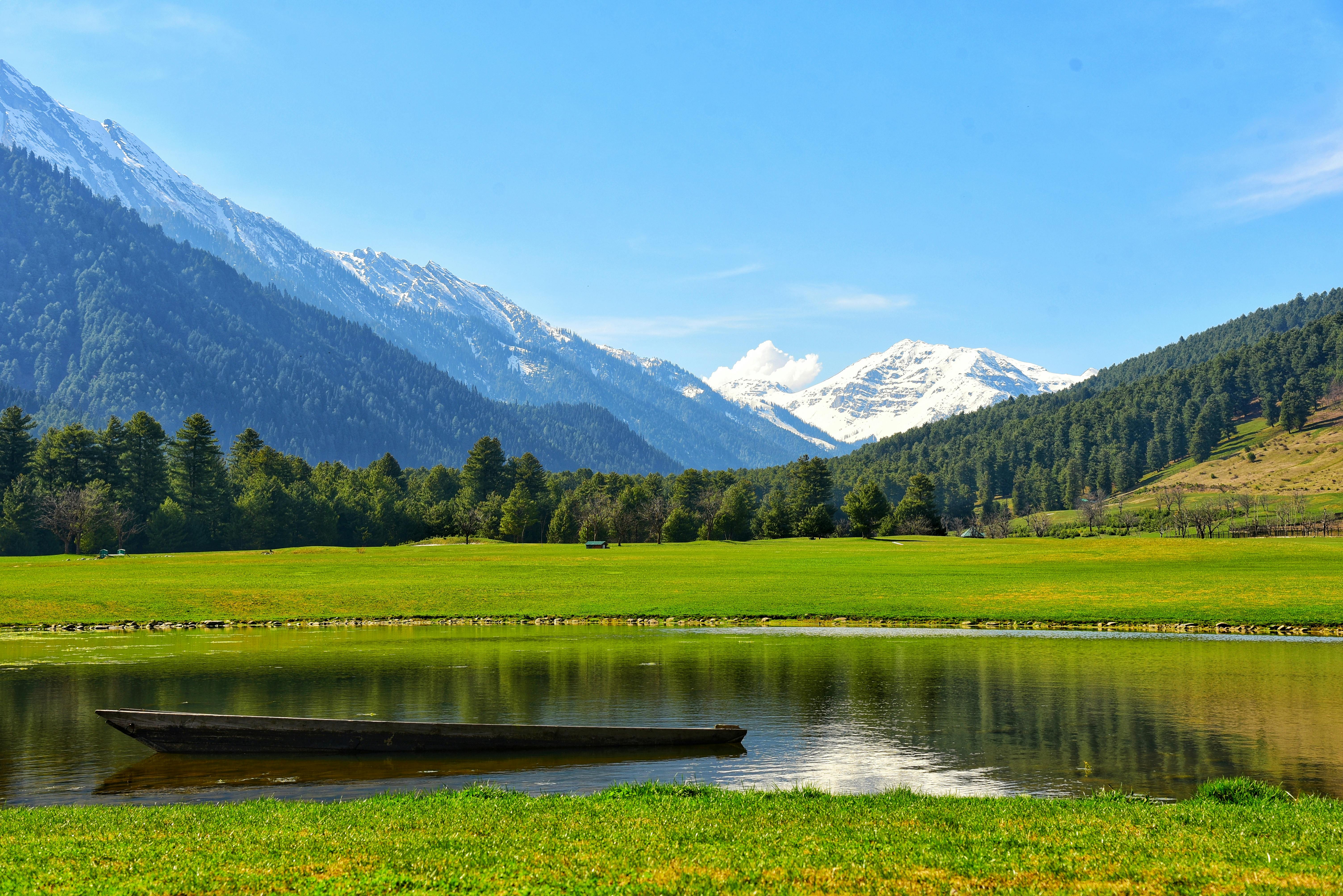 Kashmir Forests